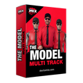 The Model Multi-Track
