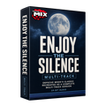 Enjoy The Silence Multi-Track