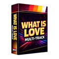 What Is Love Multi-Track